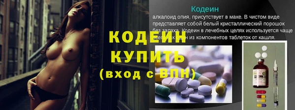 гидра Гусь-Хрустальный