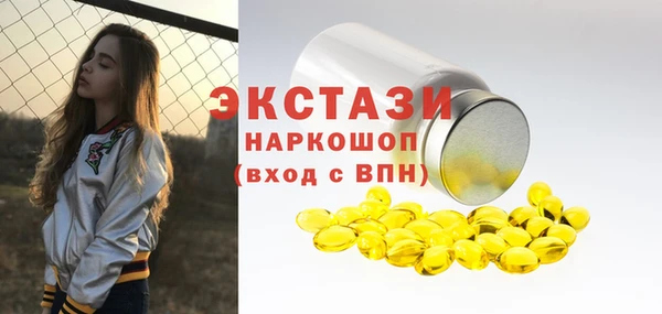 гидра Гусь-Хрустальный