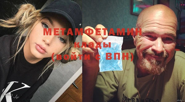 гидра Гусь-Хрустальный