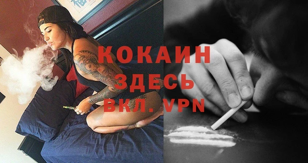 гидра Гусь-Хрустальный
