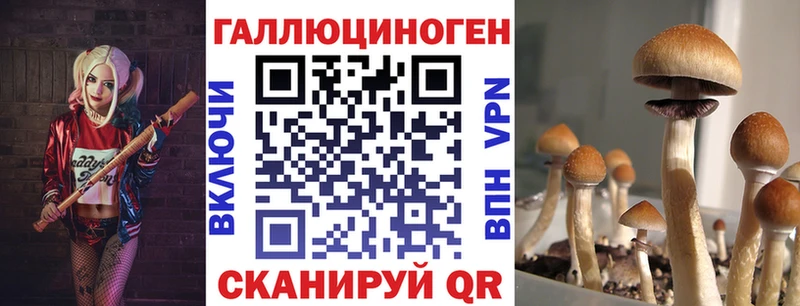 площадка клад  Новоуральск  Галлюциногенные грибы мицелий 